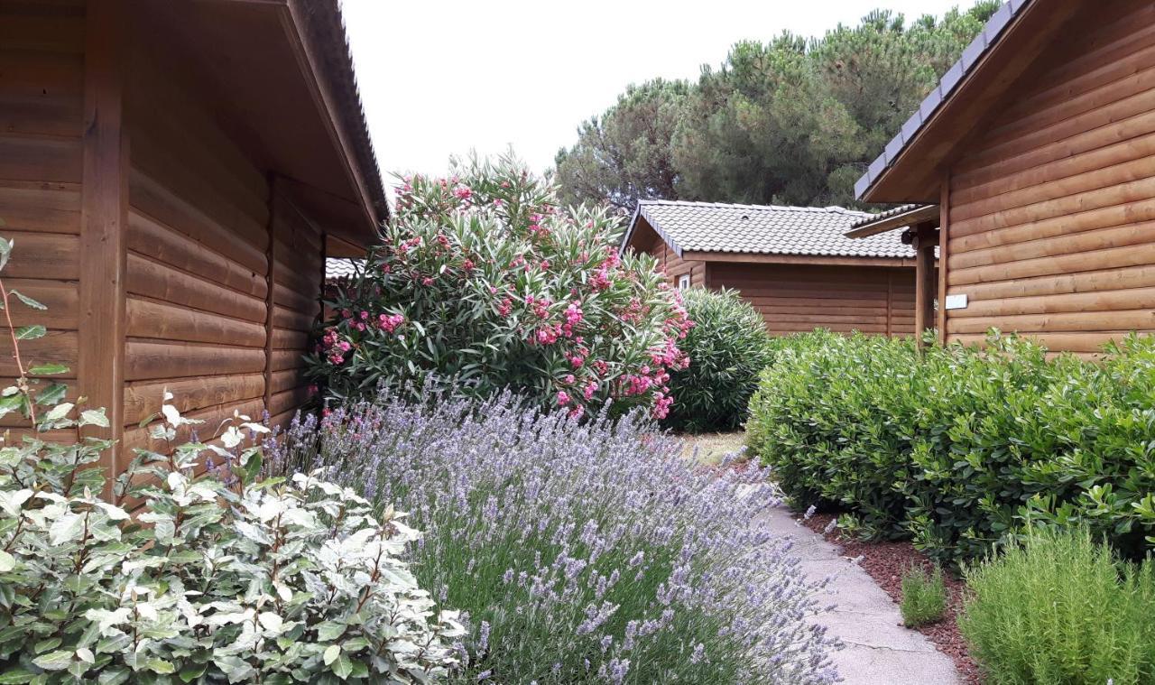 Parc Residentiel Les Hauts De Baldy آجد المظهر الخارجي الصورة